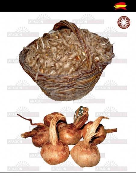 bulbos baratos para plantar azafran