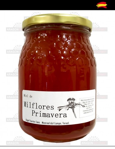 Miel Mil Flores Primavera Monreal 1kg