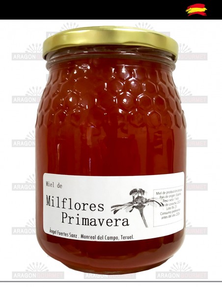 Miel Mil Flores Primavera Monreal 1kg