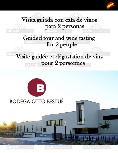 visit and wine tasting at Bestué wineries