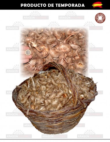 Bulbes de safran 1 kilo