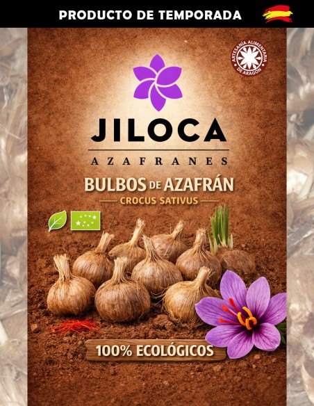 Bulbos de azafrán para plantar 30u