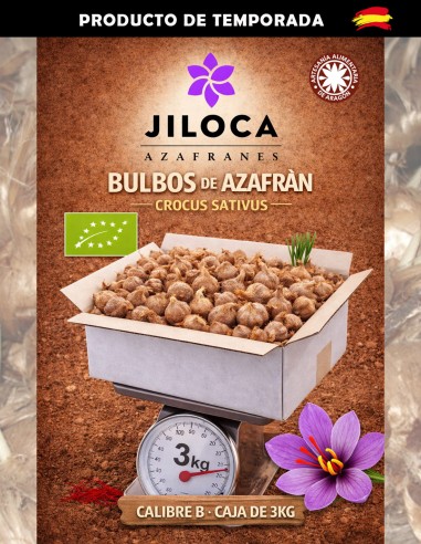 Bulbes de calibre B, 3 kg (photo de couverture)