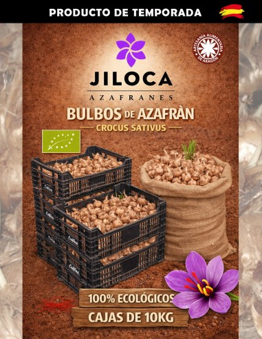 Bulbos a granel 10kg