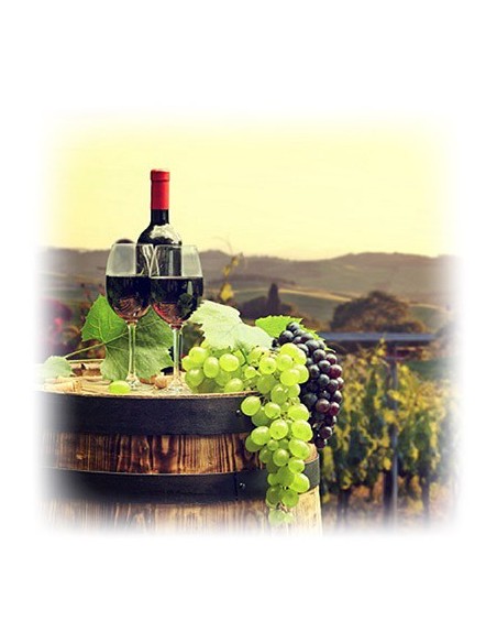 Vinoteca Gourmet